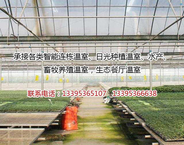 玻璃温室厂家