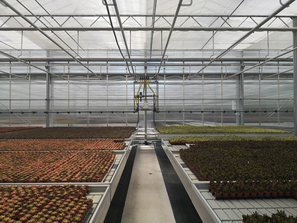 玻璃温室 玻璃温室