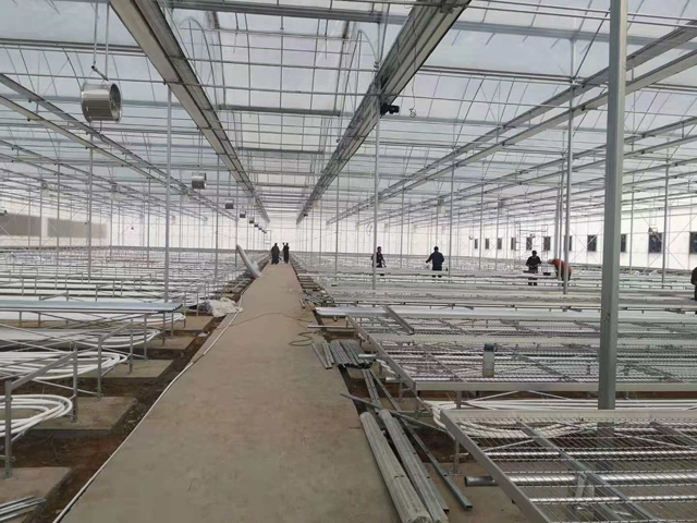 白山双拱双膜温室