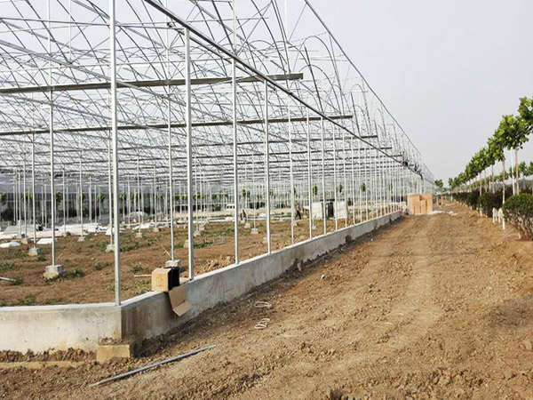 Case Study of Greenhouse in Jinnan District, Tianjin