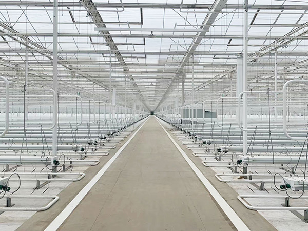 Construction of Intelligent Greenhouse in Dongying City