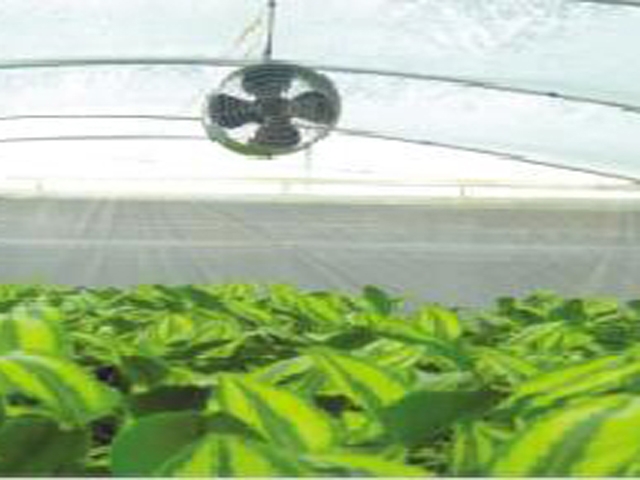 Internal circulation system