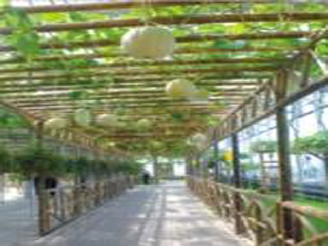 Ecological Horticultural Greenhouse