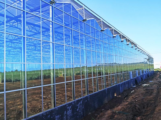 glass greenhouse