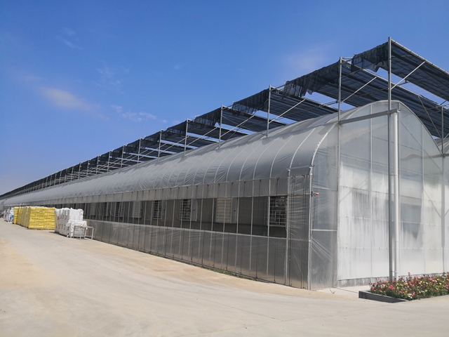 Thin film connected greenhouse