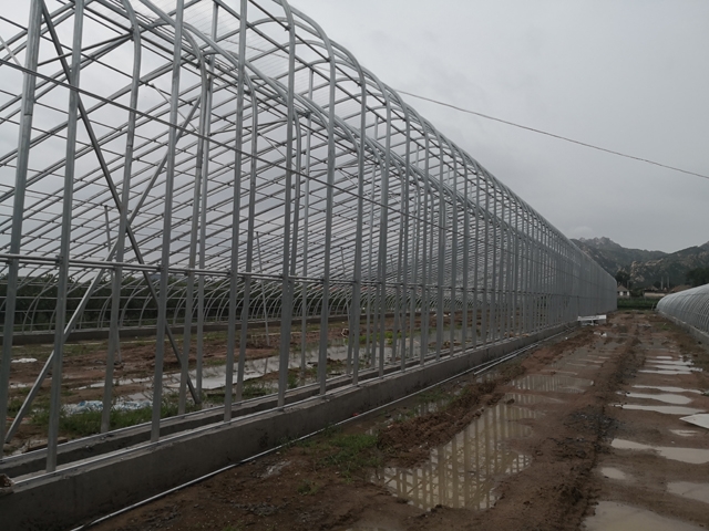 Sunlight double arch greenhouse