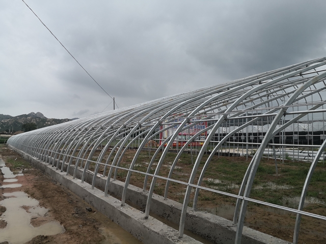 Sunlight double arch greenhouse