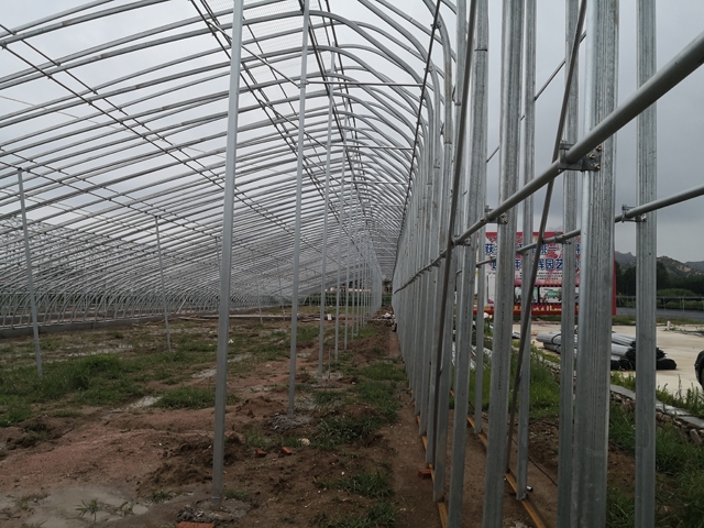 Sunlight double arch greenhouse