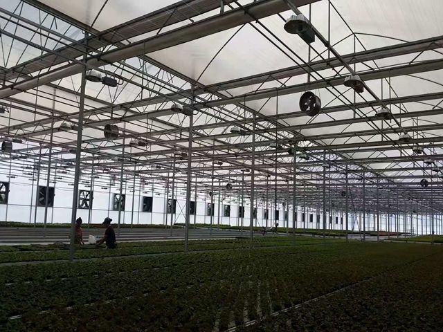 Double arch double film greenhouse