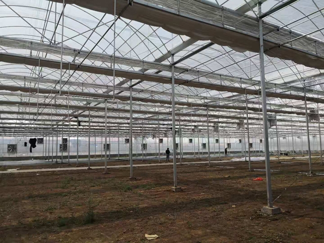 Double arch double film greenhouse