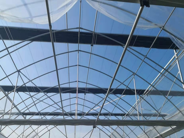 Double arch double film greenhouse