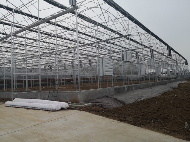 Greenhouse frame