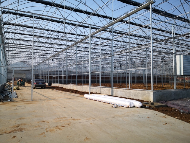 Greenhouse frame